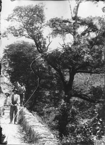 Branzi. Operai nella cava di ardesia