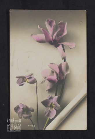 Emilio Mazzi a Giovanni Battista Mazzi