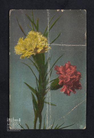 Emilio Mazzi a Giovanni Battista Mazzi