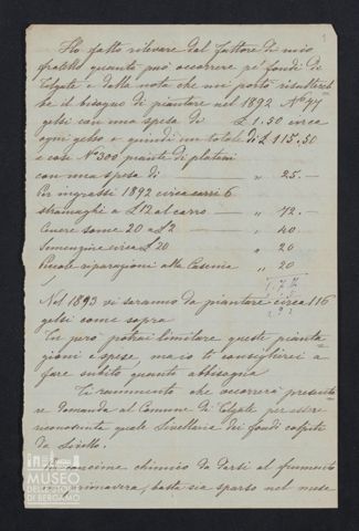 Maria Belli ad Angiolina Parigi