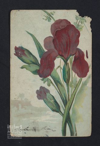 [Lina Parigi] a Ilda Ravina De Travaglia