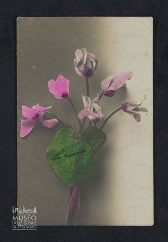 M. L. a Emilio Mazzi