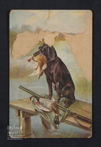 C. Bagini a Emilio Mazzi