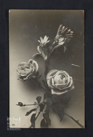 Celestina a Emilio Mazzi