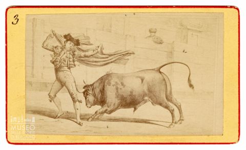 Ritratto di torero e toro durante la corrida