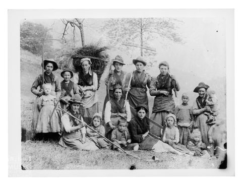 Donne con rastrello, campagia e ranza