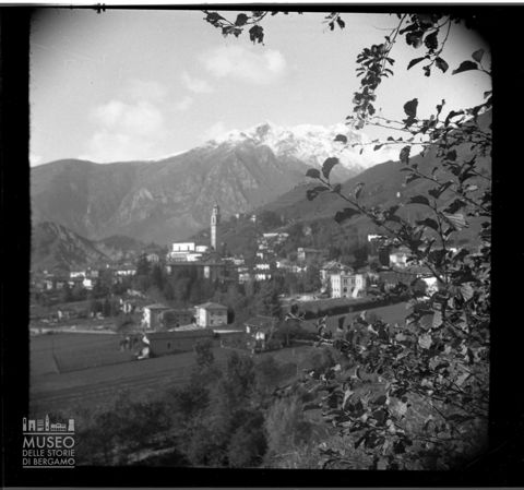 Panorama tra gli alberi
