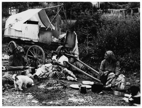 Donne e animali domestici attorno a un focolare