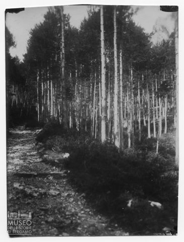 Veduta del sentiero alberato presso il santuario di Queralt
