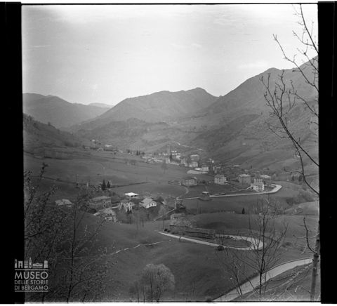 Panorama con alberi