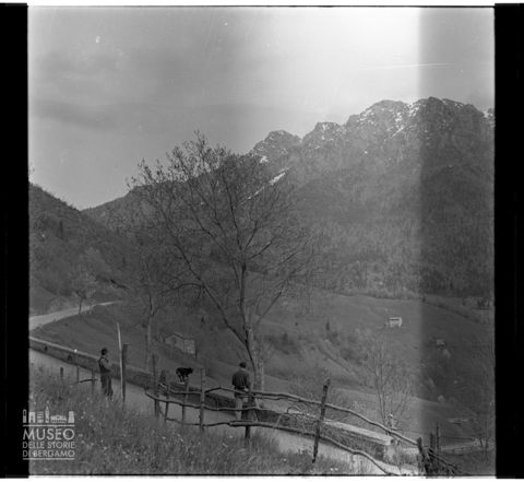 Pascoli e monti