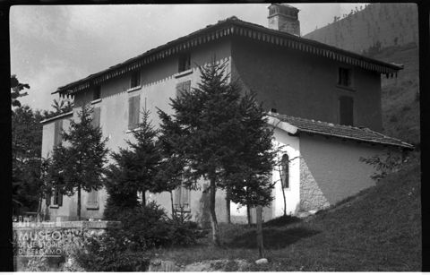Abitazione con alberi [1]