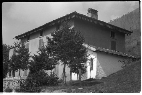 Abitazione con alberi [3]