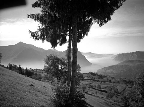 Panorama con prati e lago