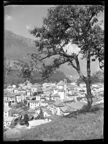 Panorama con albero