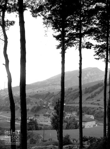 Veduta da una pineta