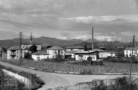 Ghiaie di Bonate, scorcio