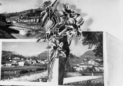 fotocomposizione con stella alpina