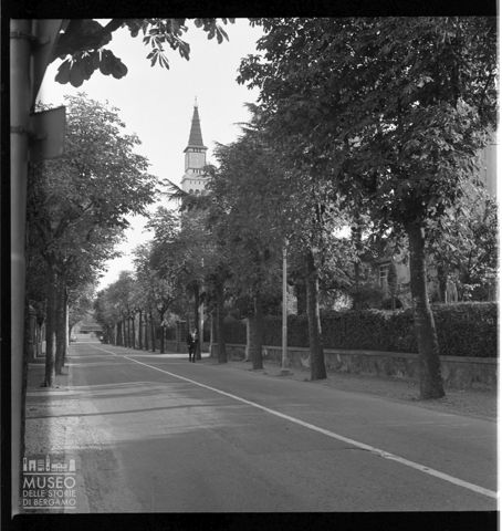 Viale alberato