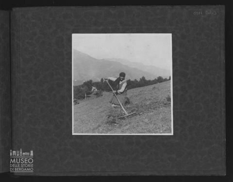 Donna che raccoglie il fieno