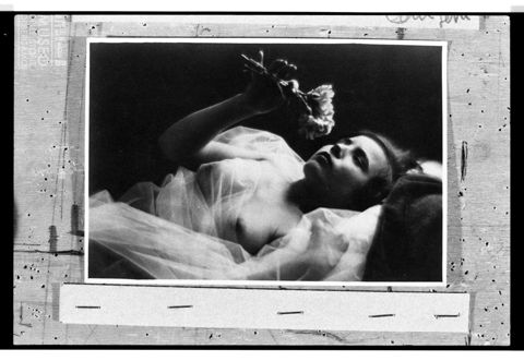Nudo femminile con fiori