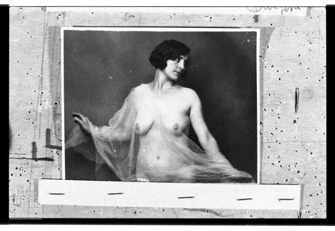 Nudo femminile con velo