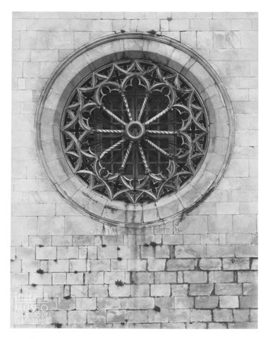 Rosone della Cattedrale di Sarzana