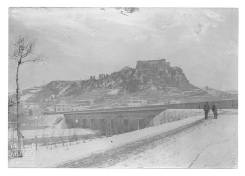 Aulla innevata