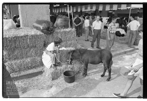 Bambino con pony alla fiera di Sant'Alessandro