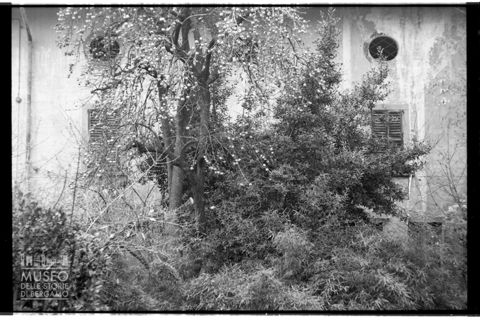 Alberi e arbusti davanti a una villa