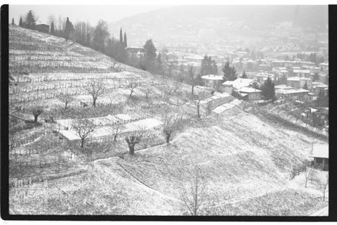 Vigneti sui colli di Bergamo
