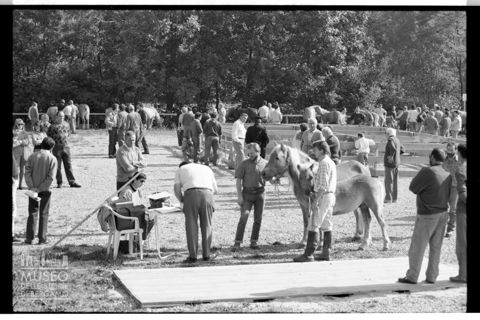 Fiera agricola di Carenno