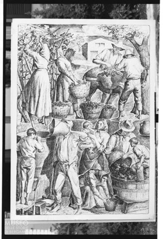 Disegno 