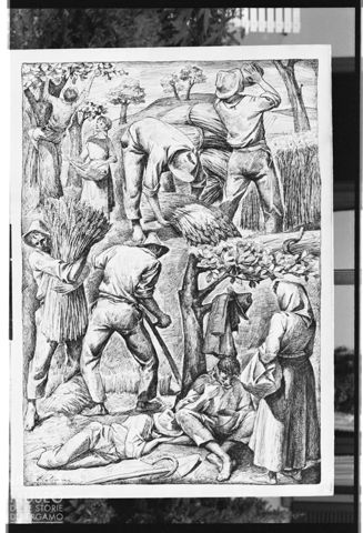 Disegno 