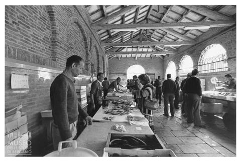 Il mercato del pesce a Comacchio