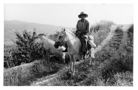 Una custode delle capre a Caltabellotta