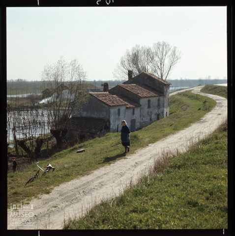 L'argine del Po a Crespino