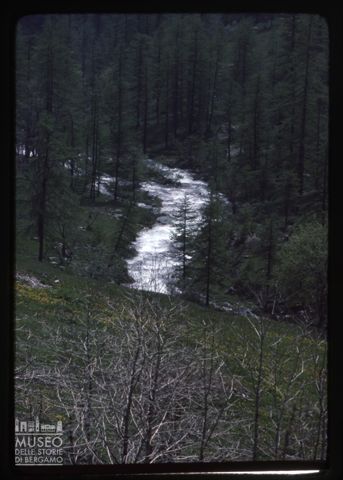 Il Po sotto Crissolo