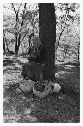 Impagliatrice di cesti di vimini