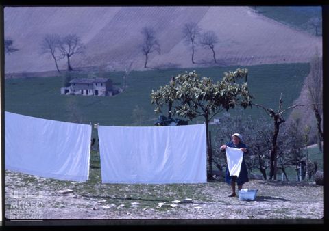 Scena di vita quotidiana nella campagna marchigiana