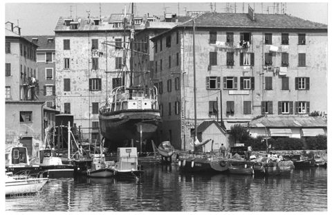 Il porto di Savona