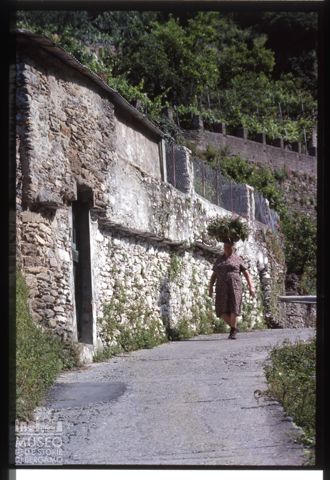 Una signora che trasporta un cesto a Vernazza
