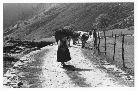 Donna con una gerla di ritorno dal pascolo in Valtellina