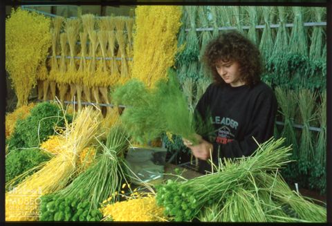 Laboratorio artigianale di fiori secchi