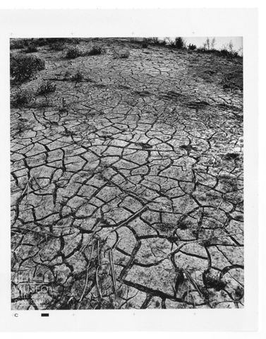 Paesaggio con corso d'acqua