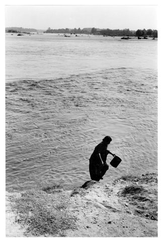 Lavandaia sulle rive del Ticino