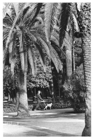 Il lungomare Bruno Buozzi di San Benedetto del Tronto