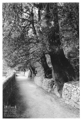 Un viale dell'Eremo delle Carceri ad Assisi