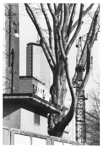 Veduta di via Vittor Pisani a Milano