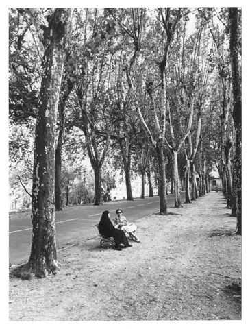 Veduta del viale delle mura di Lucca